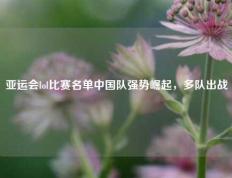 亚运会lol比赛名单中国队强势崛起，多队出战