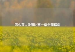 怎么买lol外围比赛一份全面指南