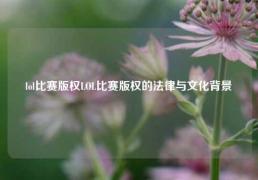 lol比赛版权LOL比赛版权的法律与文化背景