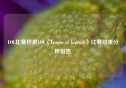 LOL比赛结果LOL（League of Legends）比赛结果分析报告