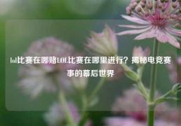 lol比赛在哪赌LOL比赛在哪里进行？揭秘电竞赛事的幕后世界