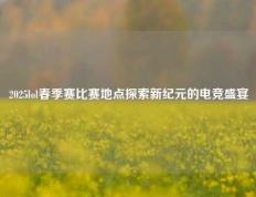 2025lol春季赛比赛地点探索新纪元的电竞盛宴