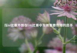 压lol比赛外围在LOL比赛中发挥重要作用的选手