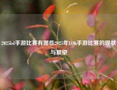 2025lol手游比赛有哪些2025年LOL手游比赛的现状与展望