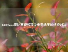 lol2025msi赛比赛视频顶尖电竞选手的终极对决