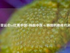 亚运会lol比赛中国vs韩国中国 vs 韩国的巅峰对决