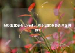 lol职业比赛有没有延迟LOL职业比赛是否存在问题？