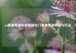 lol赛事竞猜地址揭秘热门赛事预测网站与方法