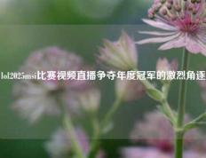 lol2025msi比赛视频直播争夺年度冠军的激烈角逐