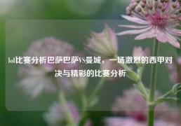 lol比赛分析巴萨巴萨VS曼城，一场激烈的西甲对决与精彩的比赛分析