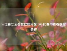 lol比赛怎么看数据如何在 LOL 比赛中查看数据分析