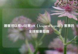 哪里可以看lol比赛LOL（League of Legends）赛事的全球观赛指南