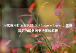 lol比赛用什么服务器LOL（League of Legends）比赛背后的服务器支持系统解析