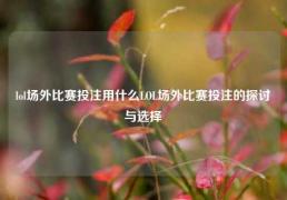 lol场外比赛投注用什么LOL场外比赛投注的探讨与选择