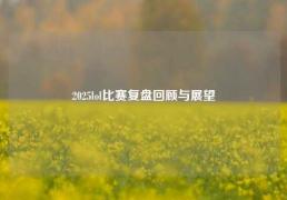 2025lol比赛复盘回顾与展望
