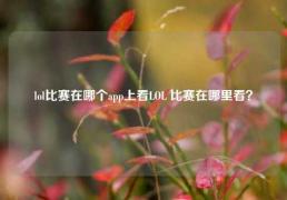 lol比赛在哪个app上看LOL 比赛在哪里看？