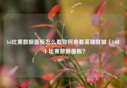 lol比赛数据面板怎么看如何查看英雄联盟（LOL）比赛数据面板？