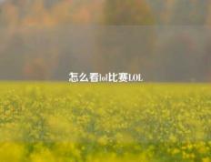 怎么看lol比赛LOL
