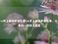 lol史上最快职业比赛LOL史上最快职业比赛，从零到一的惊人速度