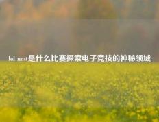lol nest是什么比赛探索电子竞技的神秘领域