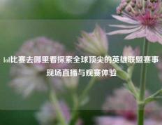 lol比赛去哪里看探索全球顶尖的英雄联盟赛事现场直播与观赛体验