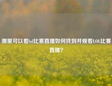 哪里可以看lol比赛直播如何找到并观看LOL比赛直播？
