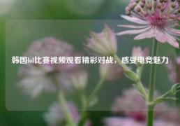 韩国lol比赛视频观看精彩对战，感受电竞魅力
