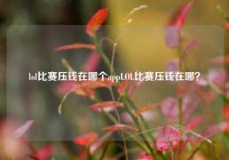 lol比赛压钱在哪个appLOL比赛压钱在哪？