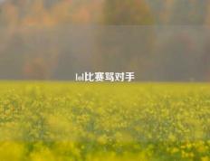 lol比赛骂对手