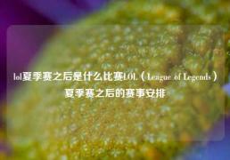 lol夏季赛之后是什么比赛LOL（League of Legends）夏季赛之后的赛事安排