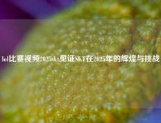 lol比赛视频2025skt见证SKT在2025年的辉煌与挑战