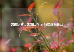 韩国比赛lol韩国队在LPL的荣耀与挑战