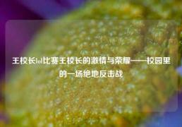 王校长lol比赛王校长的激情与荣耀——校园里的一场绝地反击战