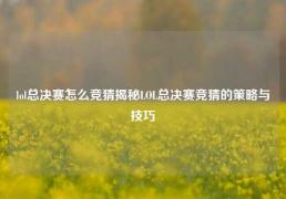 lol总决赛怎么竞猜揭秘LOL总决赛竞猜的策略与技巧