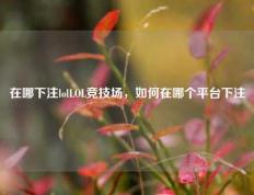 在哪下注lolLOL竞技场，如何在哪个平台下注