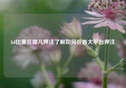 lol比赛在哪儿押注了解如何在各大平台押注