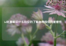 lol比赛解说什么段位的了解各种段位的重要性