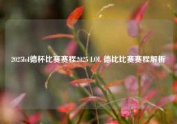 2025lol德杯比赛赛程2025 LOL 德比比赛赛程解析