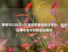 哪里可以投注lol比赛探索最佳投注平台，在lol比赛中寻找你的幸运筹码