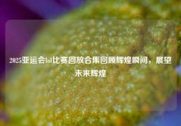 2025亚运会lol比赛回放合集回顾辉煌瞬间，展望未来辉煌