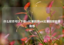 什么软件可以下载lol比赛回放LOL比赛回放软件推荐