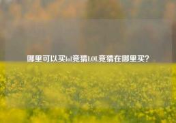 哪里可以买lol竞猜LOL竞猜在哪里买？