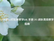 lol手游5v5打比赛教学LOL 手游 5V5 战队竞技教学指南