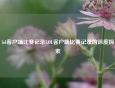 lol客户端比赛记录LOL客户端比赛记录的深度探索
