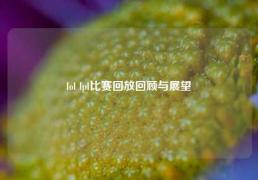lol lpl比赛回放回顾与展望