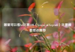 哪里可以看lol比赛LOL（League of Legends）比赛观看地点推荐
