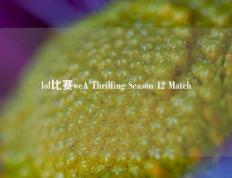 lol比赛weA Thrilling Season 12 Match