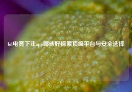 lol电竞下注app哪些好探索顶级平台与安全选择