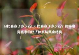 lol比赛赢了多少钱LOL 比赛赢了多少钱？揭秘电竞赛事的经济体系与奖金结构