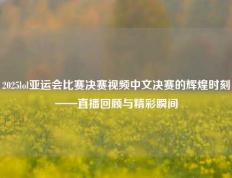 2025lol亚运会比赛决赛视频中文决赛的辉煌时刻——直播回顾与精彩瞬间